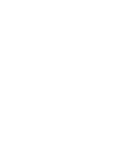 Logo BSSA